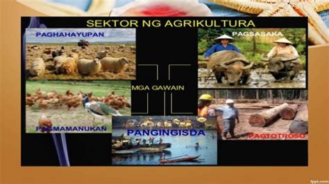paggugubat easy drawing|AGRIKULTURA: Apat na Sektor ng Agrikultura .